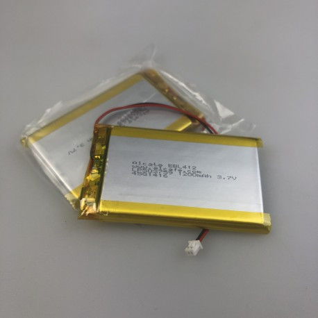 Replace your Acaia battery economically